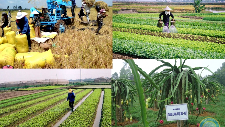 PM gives nod to new rural construction program 