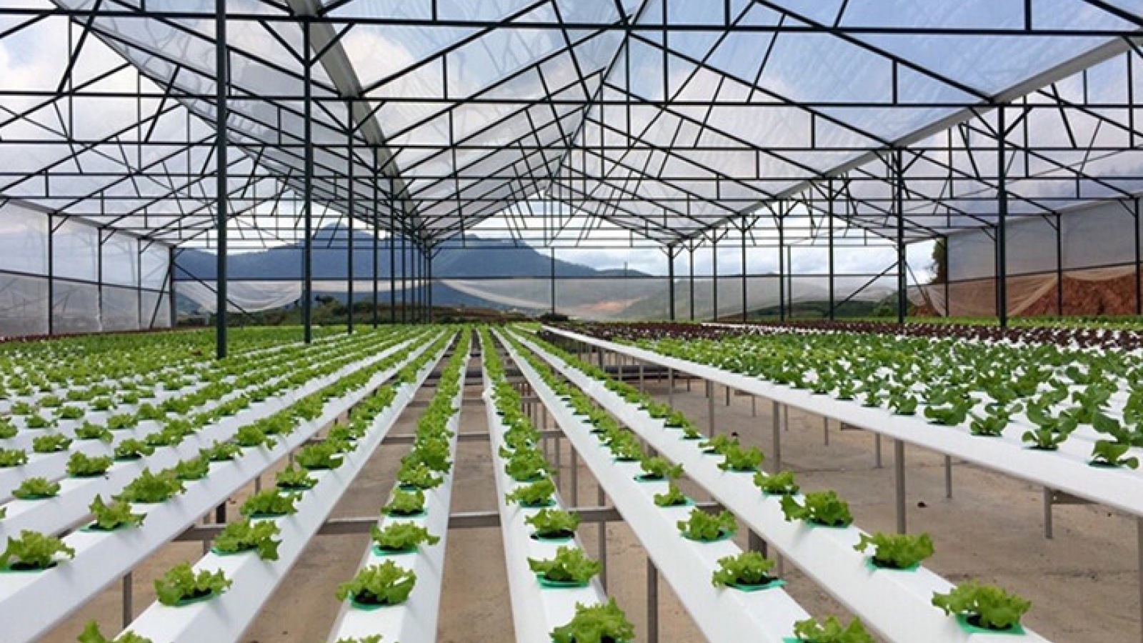 APEC increases investment in agriculture, rural areas