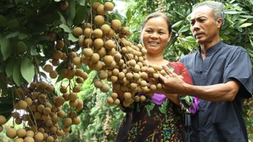 Vietnam expects US$2.5 billion gain in fruit, veggie exports