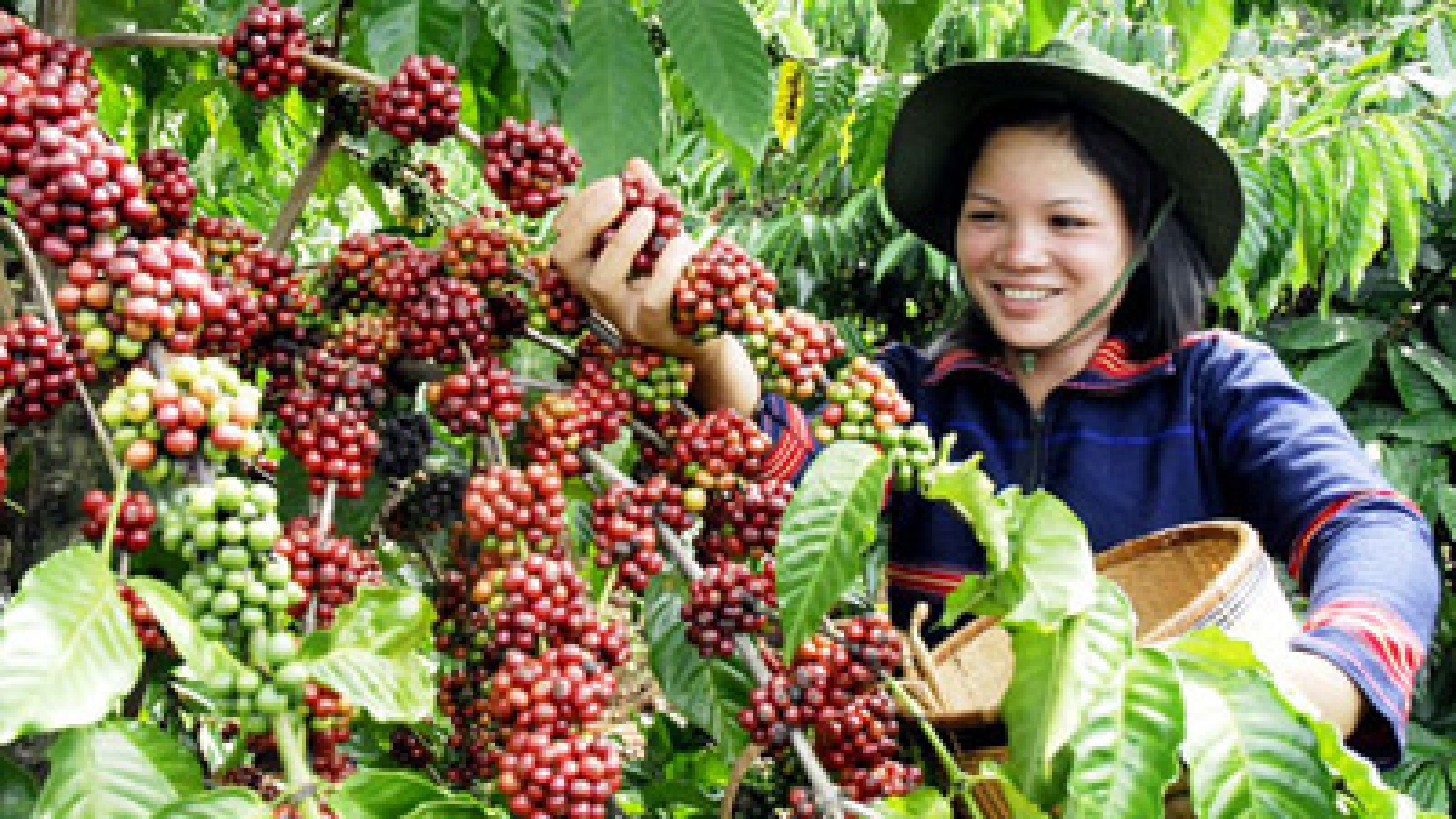 Farm exports hit US$20.22 billion 