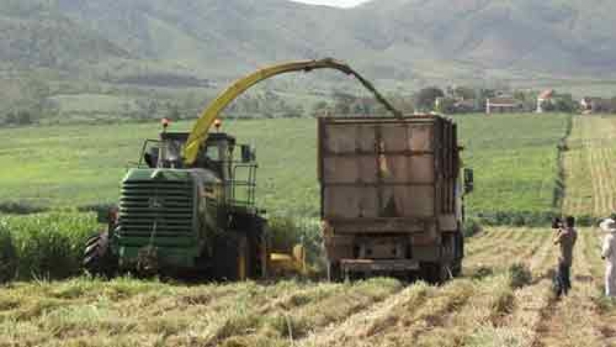 IFAD continues to back Vietnam in agricultural development