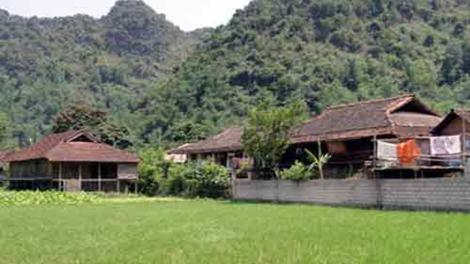 The Nung hamlets in Chi Lang, Lang Son