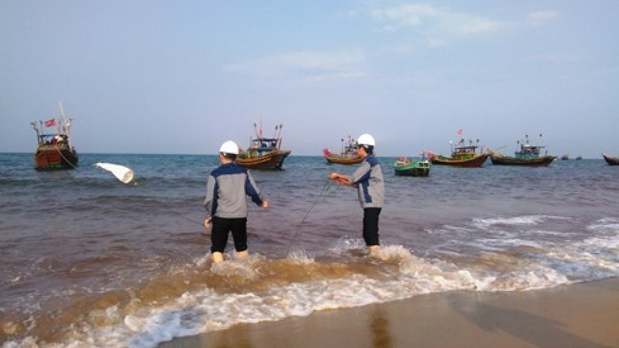 
        100 scientists helping Vietnam crack fish death mystery
                              