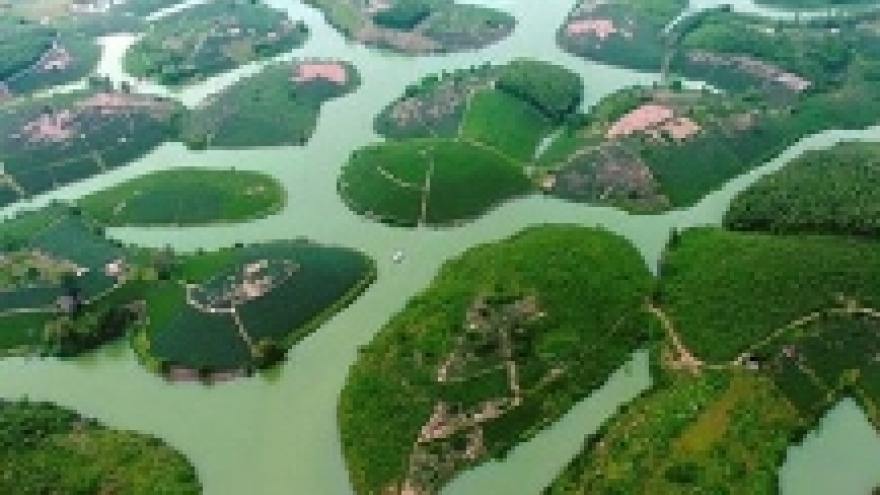 Green tea island in Nghe An viewed from flycam