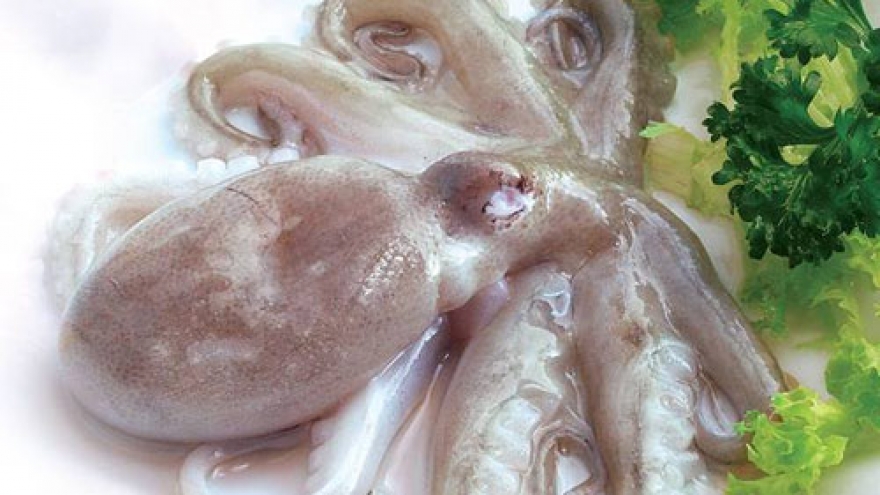 Mollusk exports to RoK increase sharply