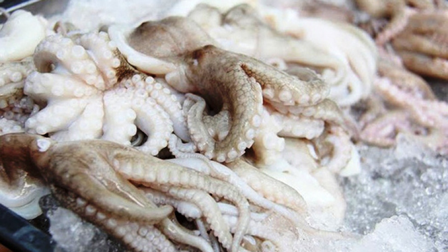Cuttlefish and octopus exports to Rusia achieve enormous growth