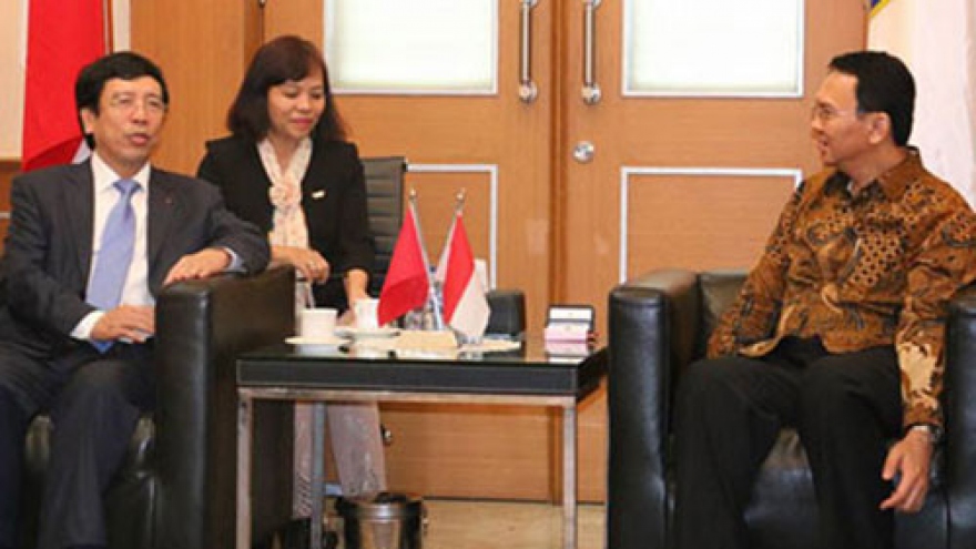 Vietnam, Indonesia foster friendship ties