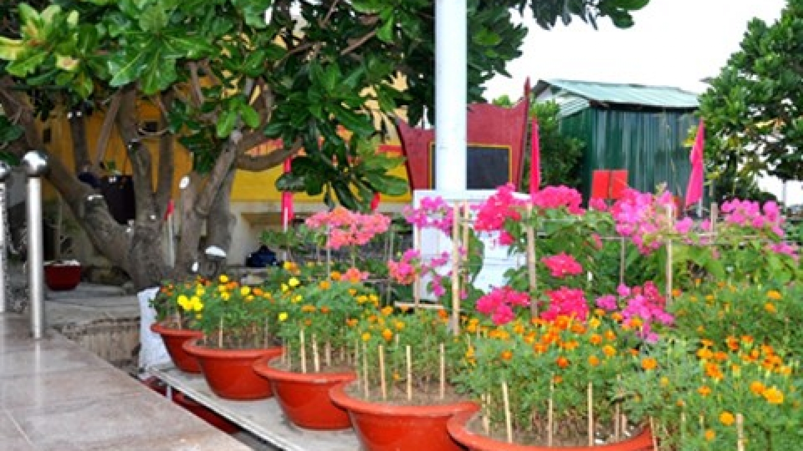 Vo Nguyen Giap Park inaugurated in Truong Sa