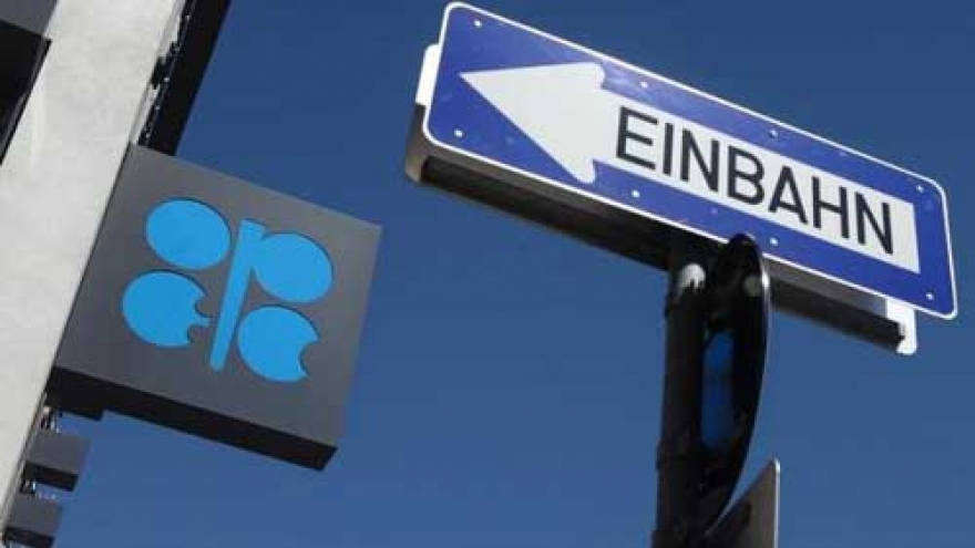 OPEC nations plan to join UN climate drive
