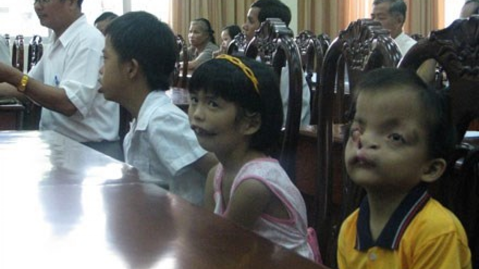 VAVA President urges new methods to mobilize support for dioxin victim