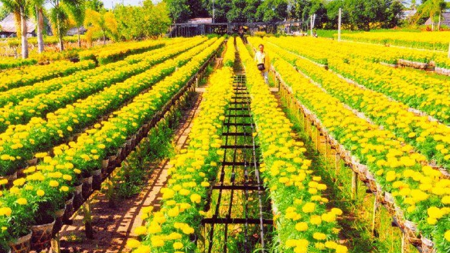 10 best-known orchards in Vietnam