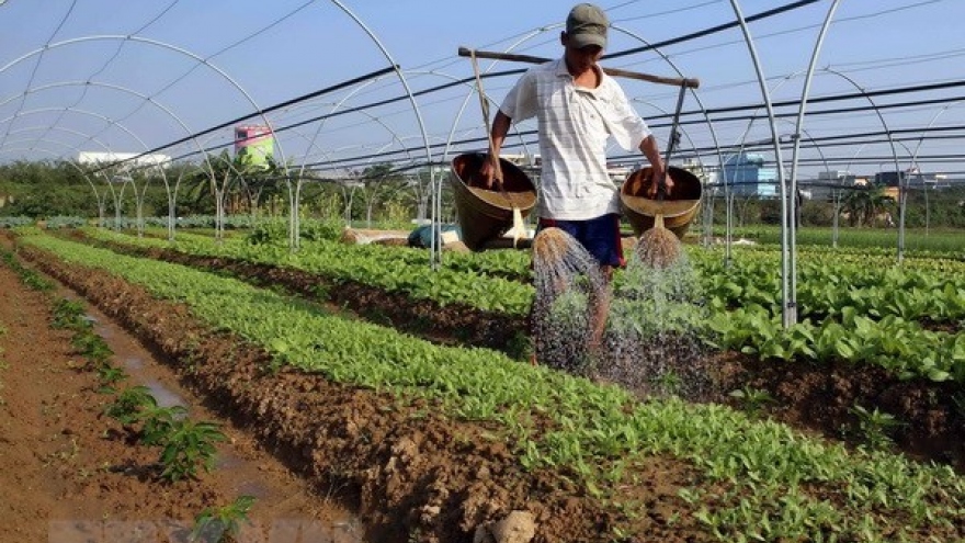 Vietnam sees potential for organic fertilizer business