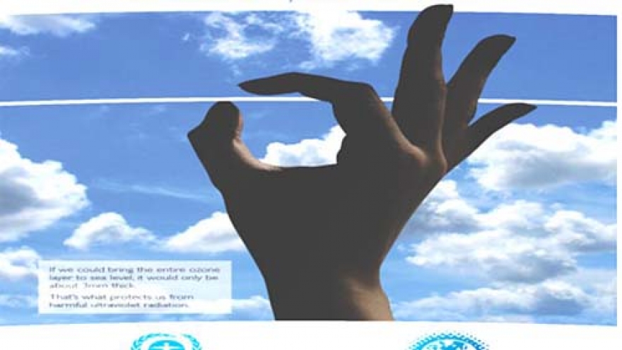 Vietnam’s achievements in ozone layer protection hailed