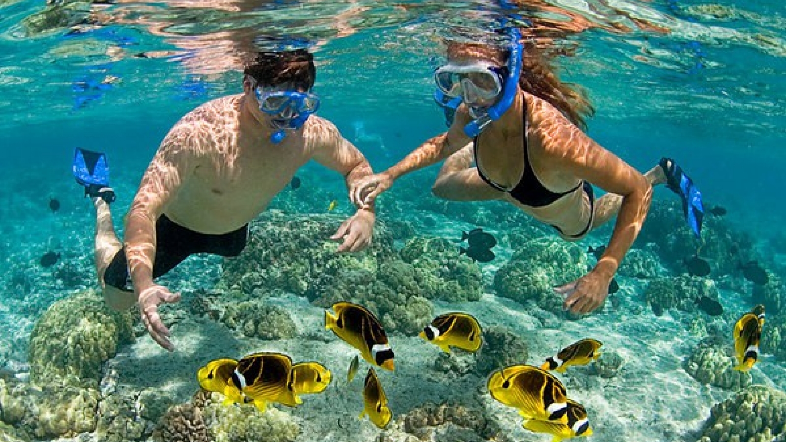7 most exciting experiences on Phu Quoc Island