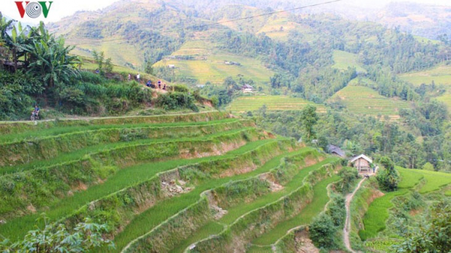 Terraced paddy fields in Tung San Commune 