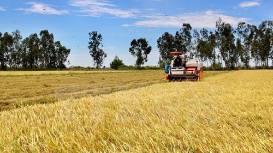 Panama’s businesses wish to establish rice-production ties with VN