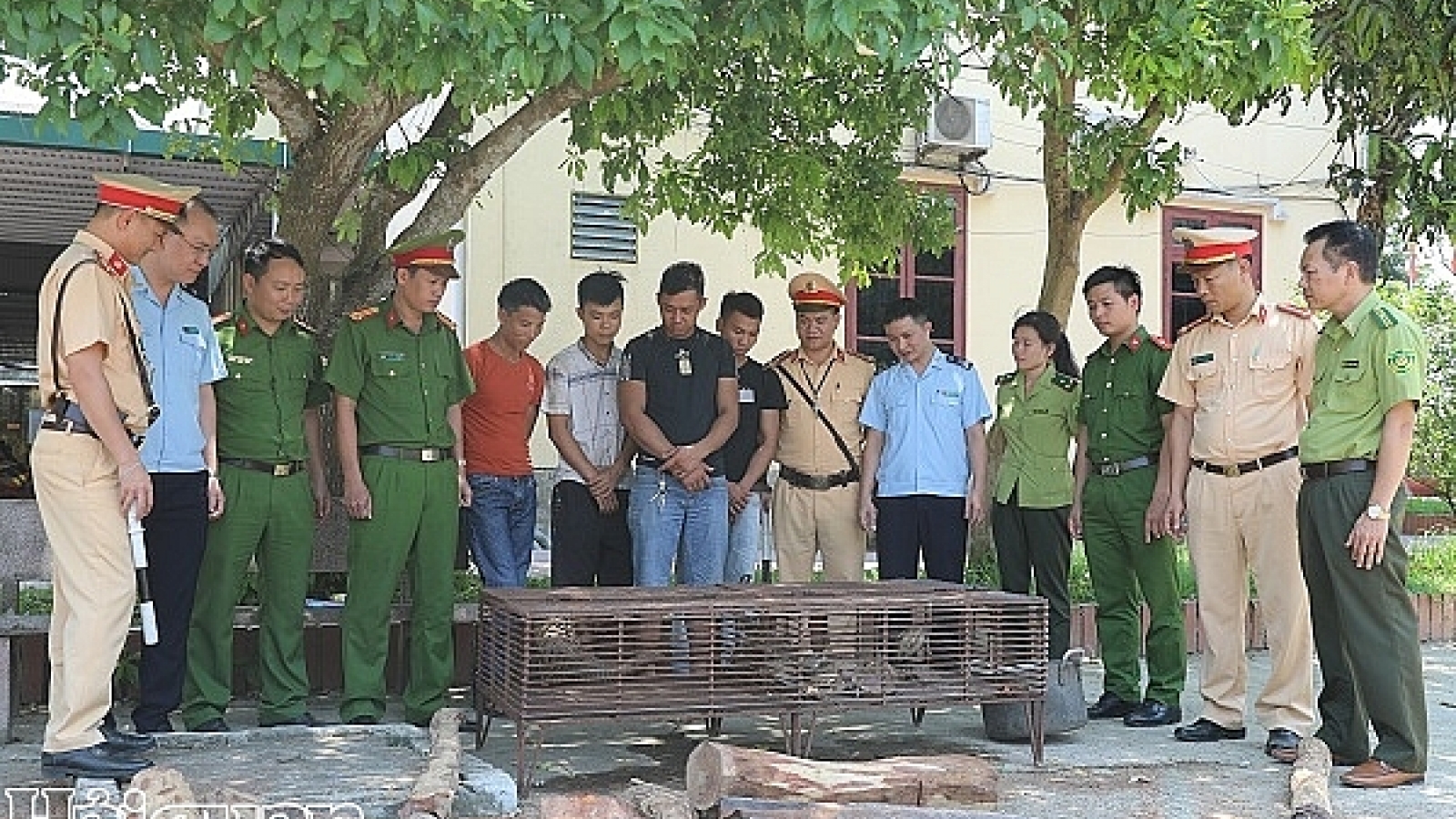 Animal traffickers caught in Ha Tinh