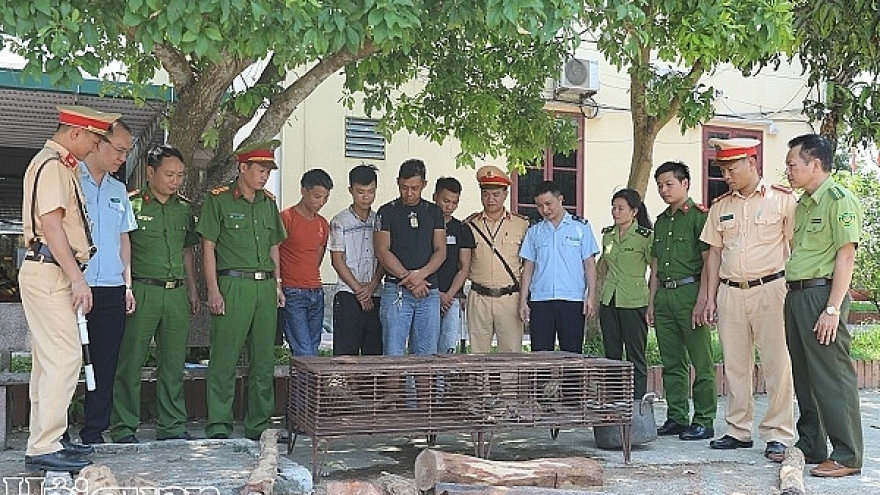 Animal traffickers caught in Ha Tinh