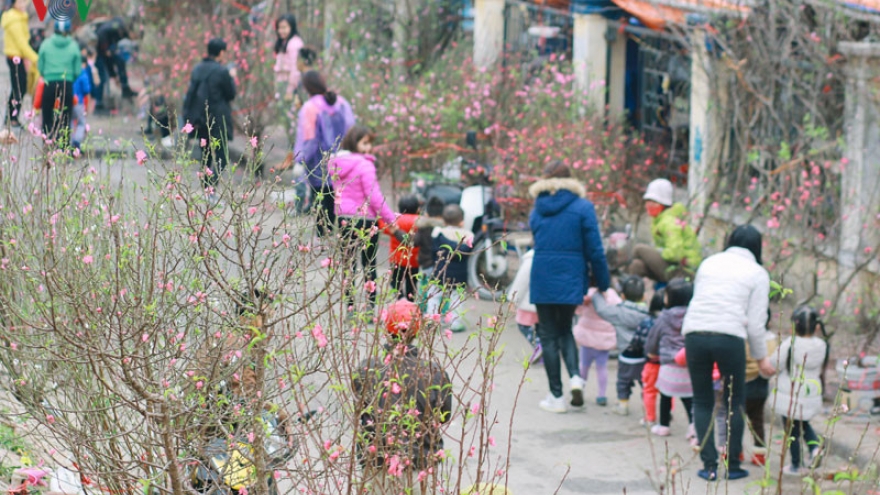 In photos: Hanoi flower markets at Tet