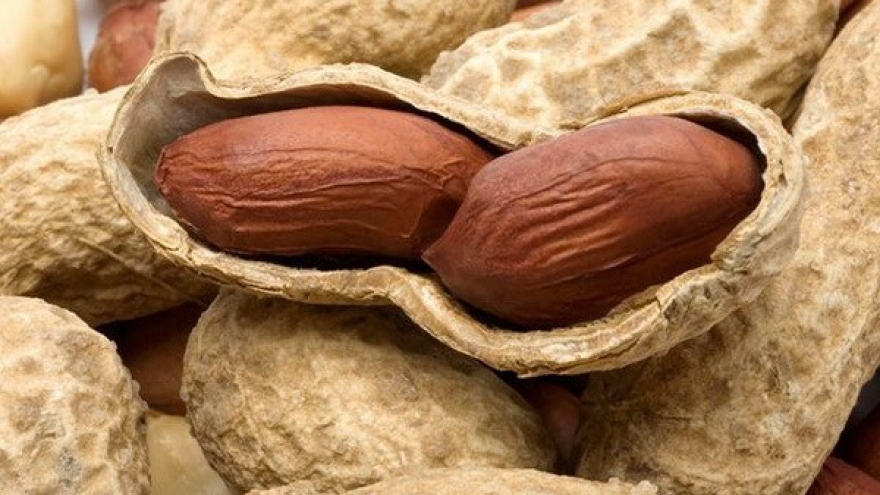 
        Vietnam suspends peanut imports from Senegal
                              