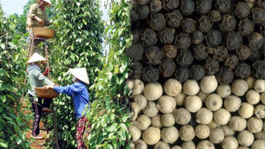 US$370 million from pepper exports in four months