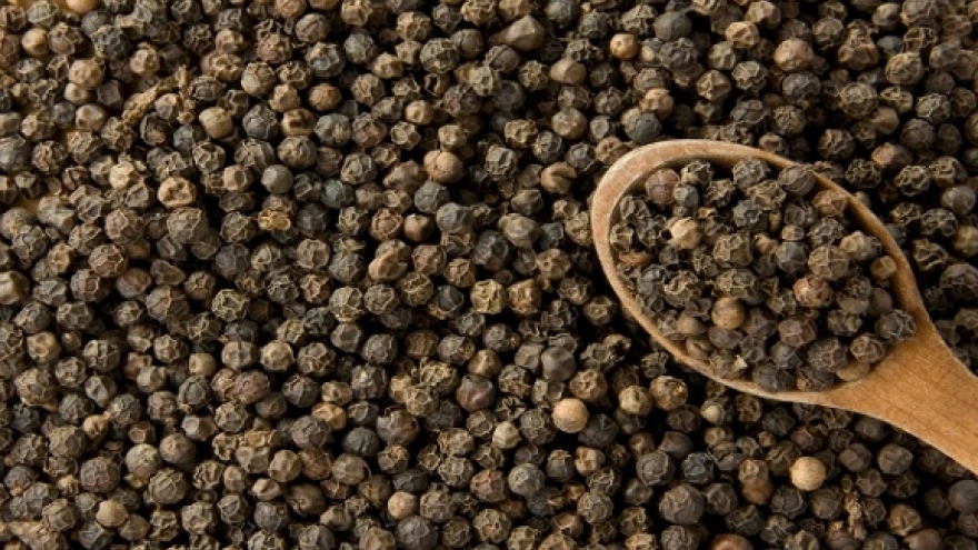 
        Dong Nai exports more than 800 tons of pepper to Germany, Netherlands
                              