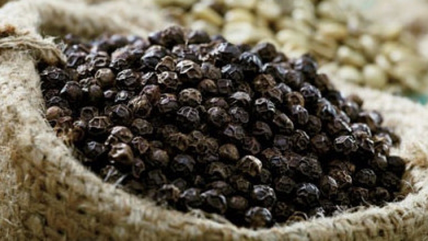 Pepper exports to drop to 144,000 T in 2015 