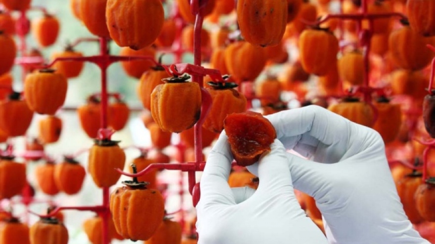 Vietnamese farmers cash in on dried persimmons