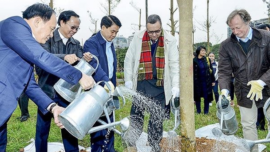 Hanoi plants 100 trees to mark Finland’s 100 years of independence
