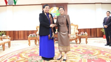 Vietnam, Laos beef up legislative ties