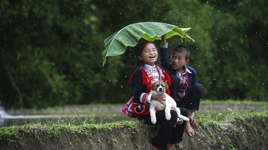 10 amazing photos by Nguyen Vu Phuoc