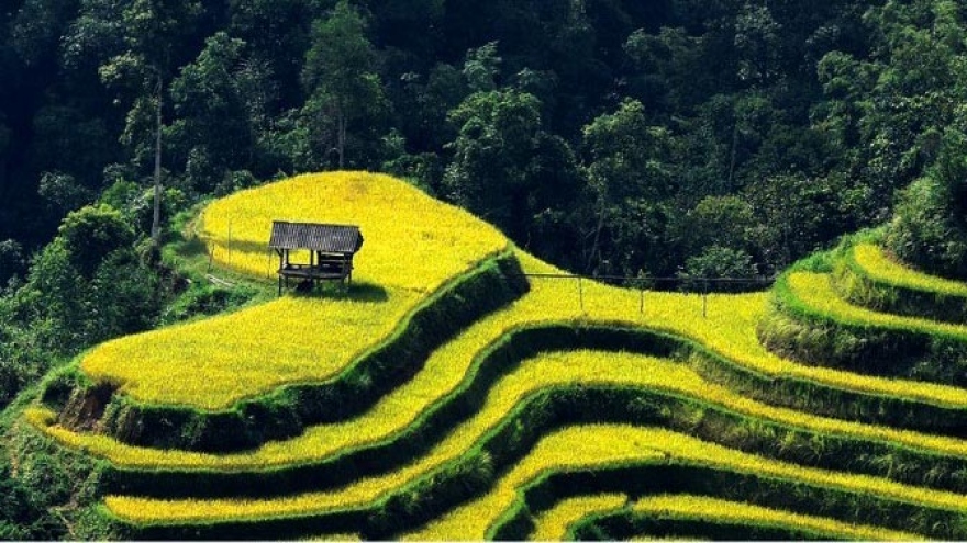 Photo exhibition shows off Vietnam's rice terrace paradise