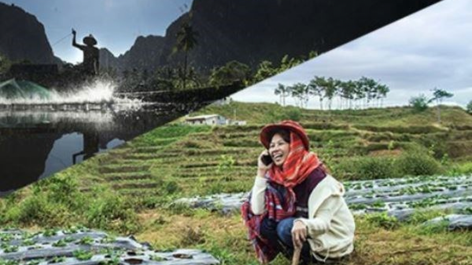 APEC 2017 Photo Contest winners announced