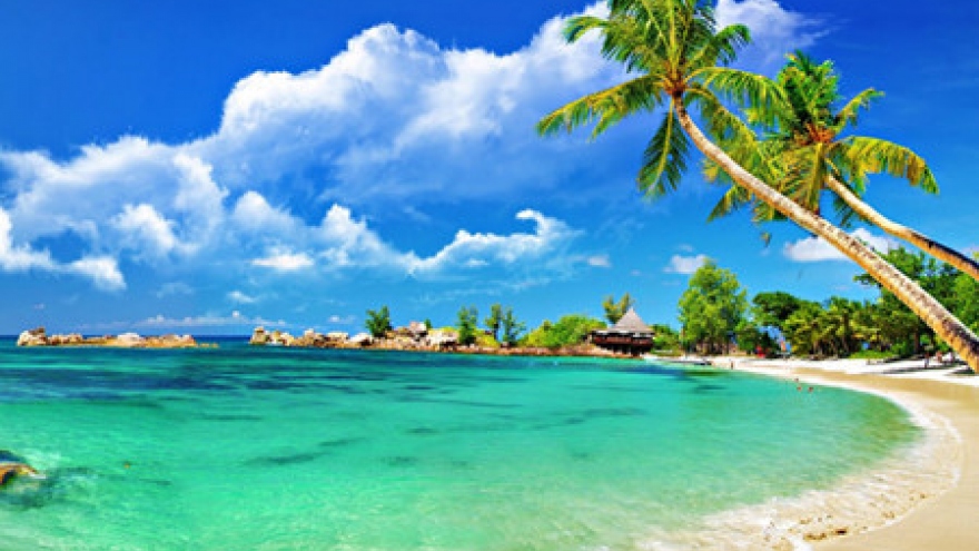 
        Phu Quoc island- a popular destination in summer
                              