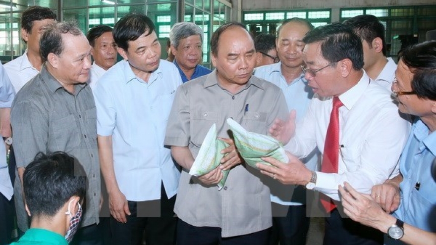 Prime Minister urges Thai Binh to boost technology