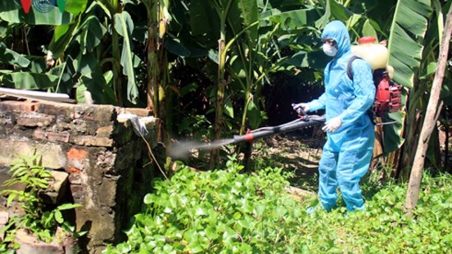 Dong Nai reports first death of dengue fever 