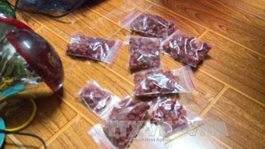 More than 12,000 meth pills seized in Quang Binh