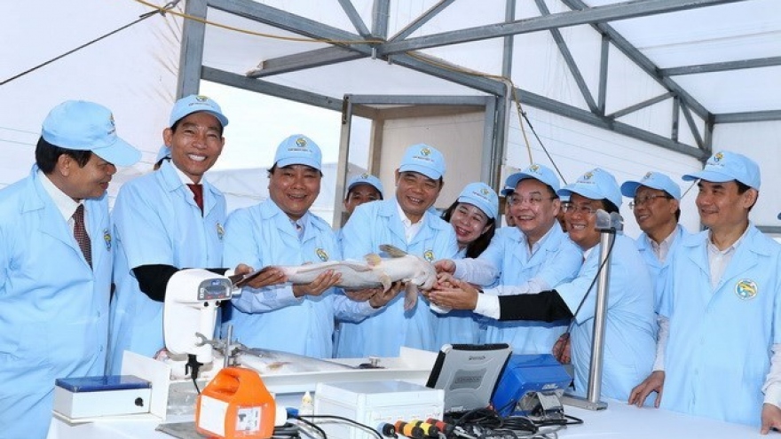 PM visits high-tech tra fish farm in An Giang