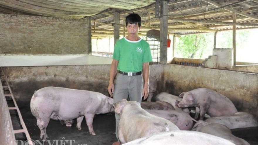 Pork prices set to rise as year-end supply dwindles