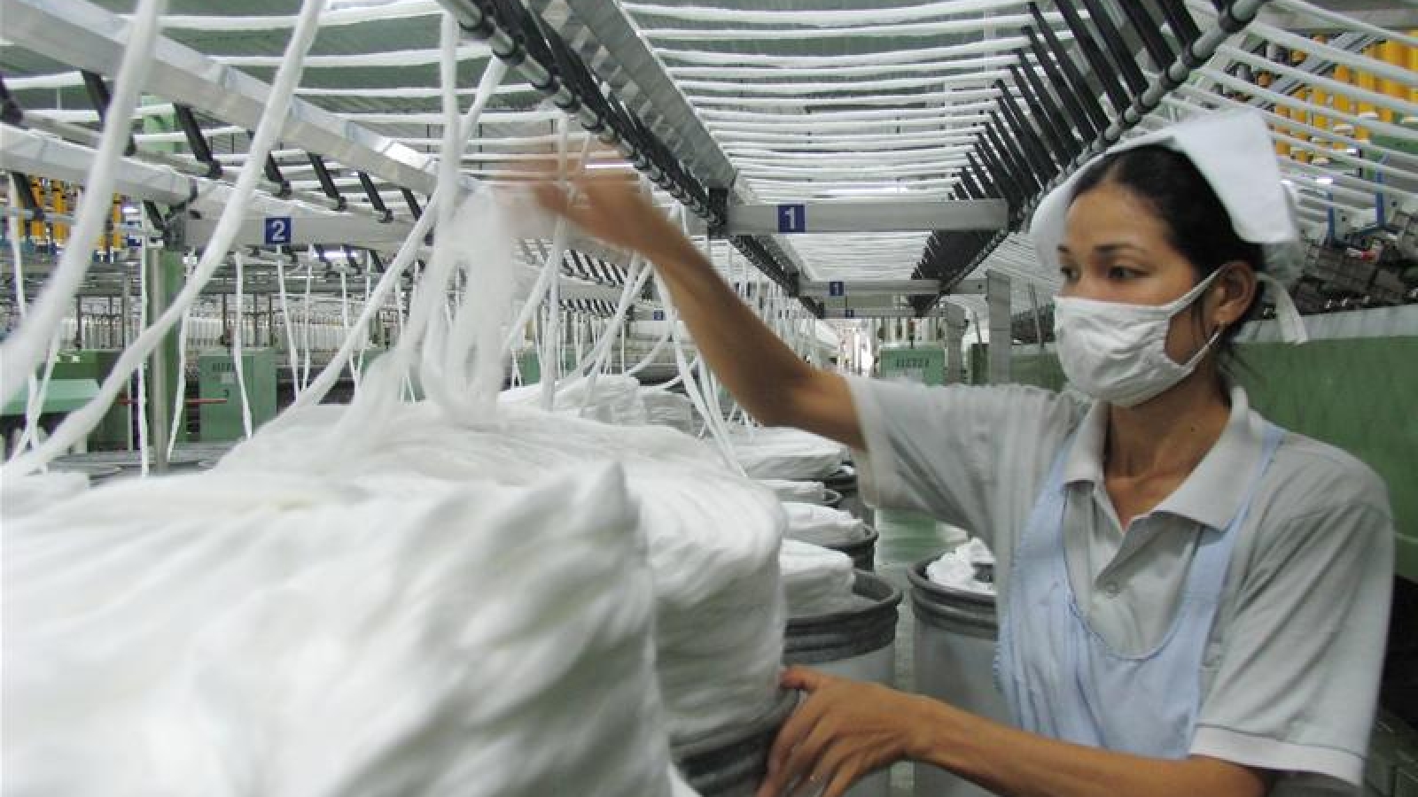Vietnam risks becoming "pollution haven"