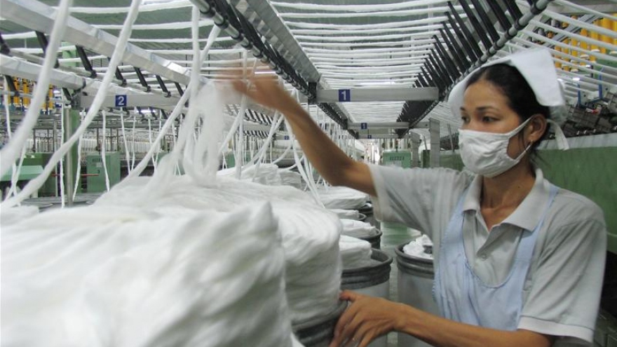 Vietnam risks becoming "pollution haven"