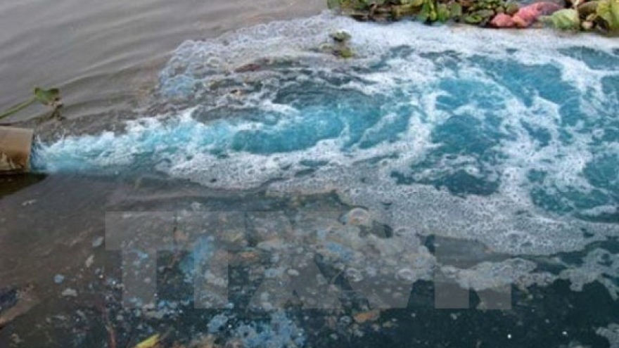 HCM City calls for Japan’s investment in environment industry