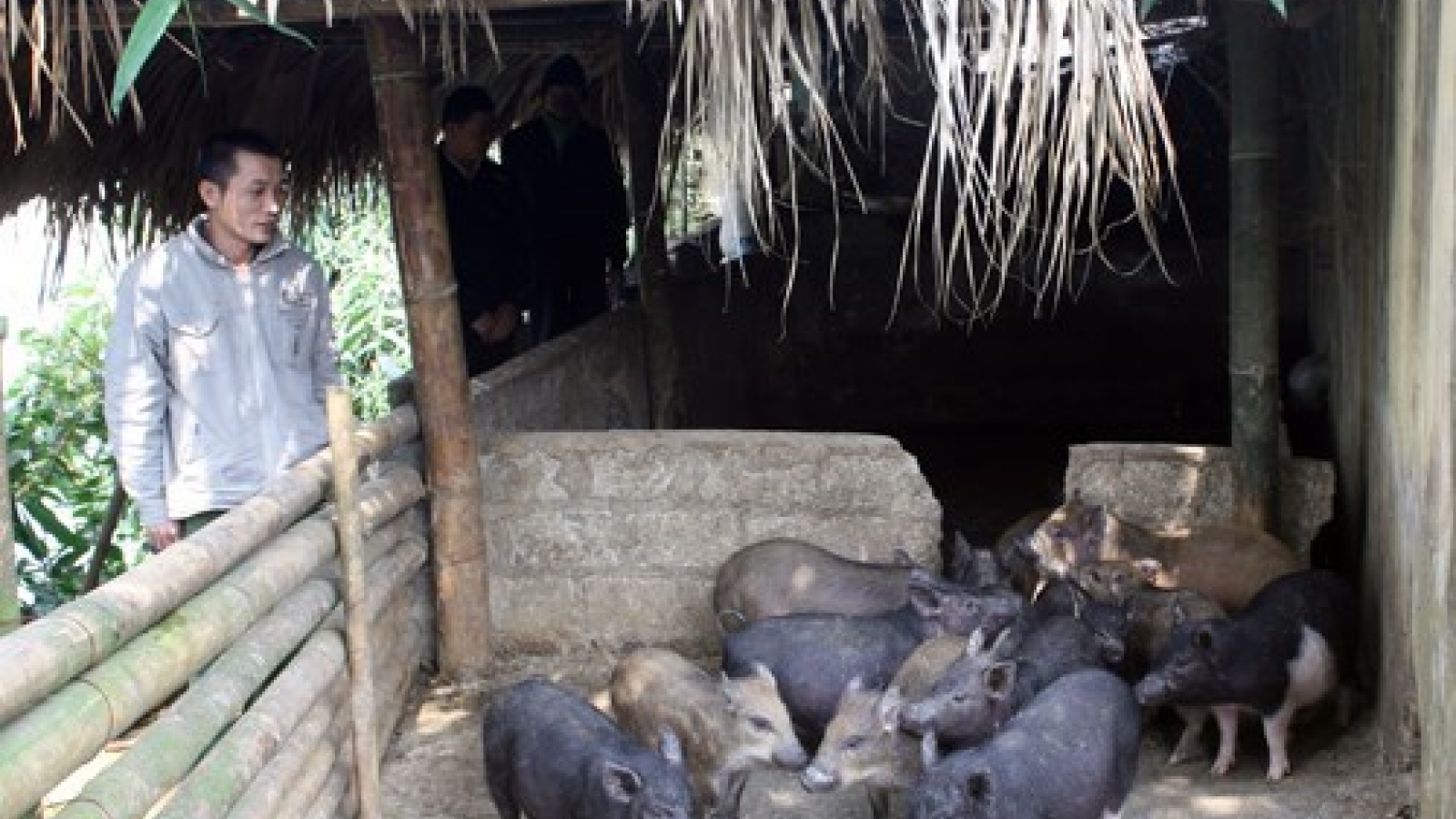 Over 124,000 Soc Trang households escape poverty