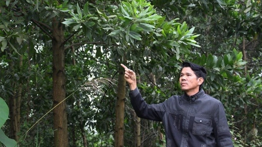 Quang Tri’s barefoot "bank owner" helps farmers escape poverty