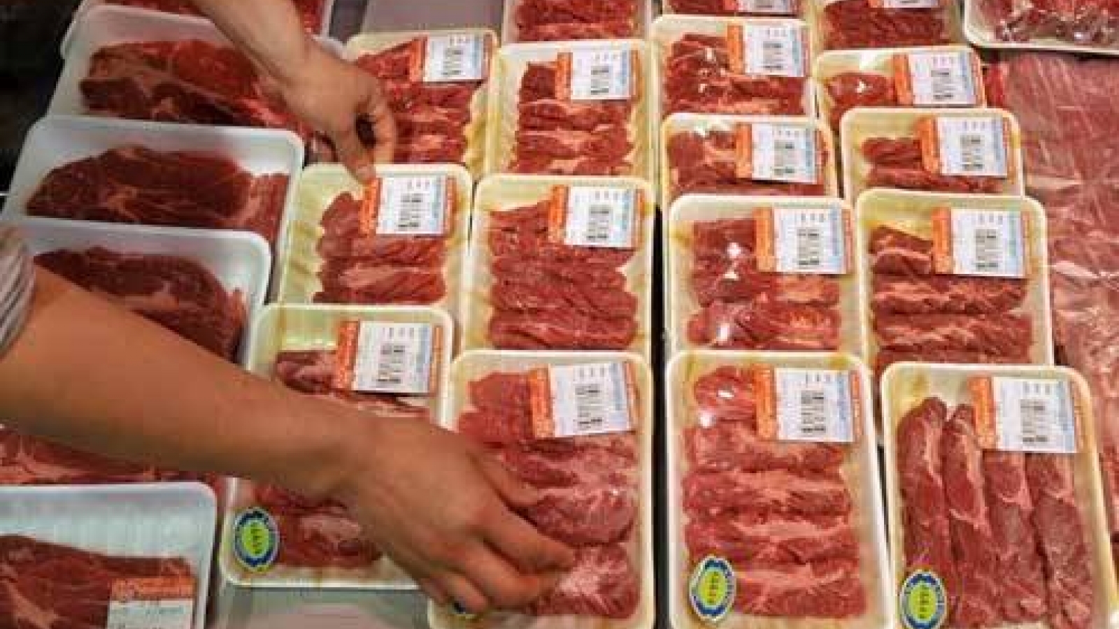 Vietnam-US address key pork trade issues