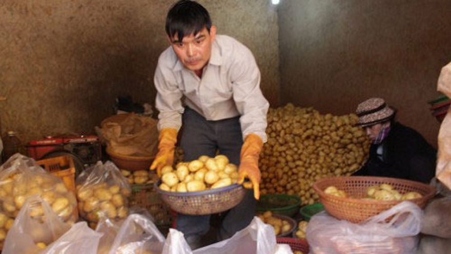 Da Lat lifts ban on Chinese potato imports after ten days
