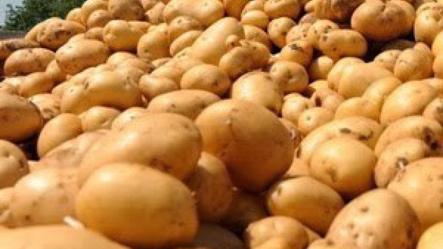 New Zealand to ship potatoes to Vietnam