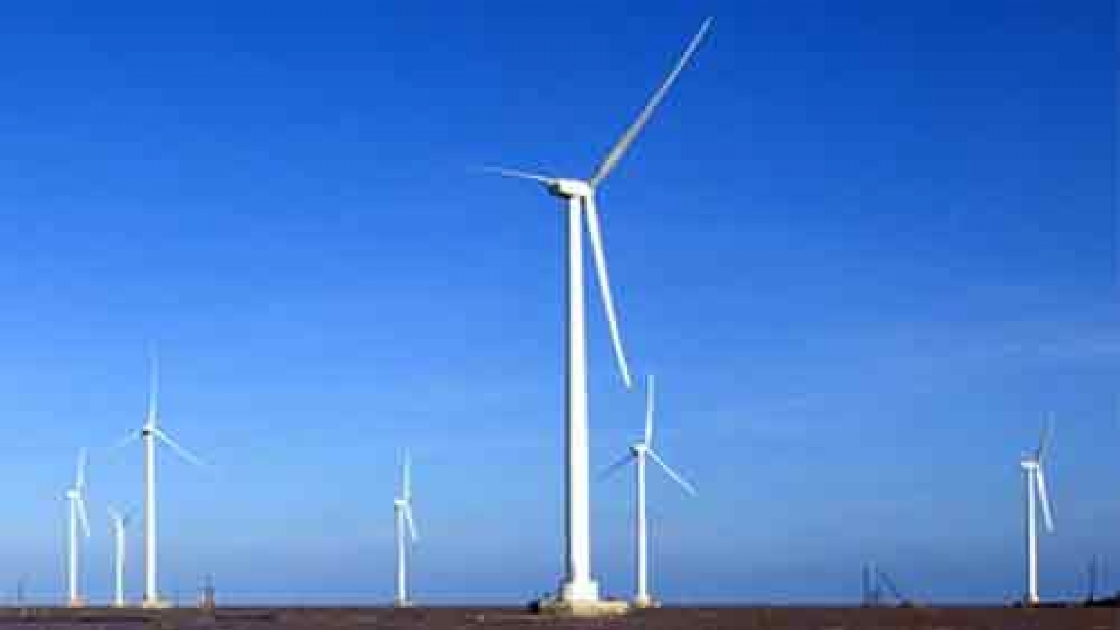 Low feed-in-tariffs deter foreign wind power investors