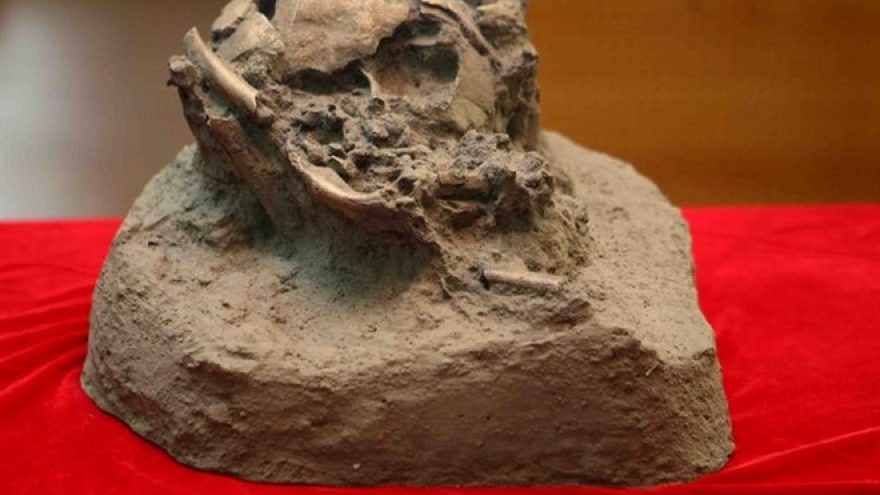 More prehistoric remains found in Krong No volcanic caves