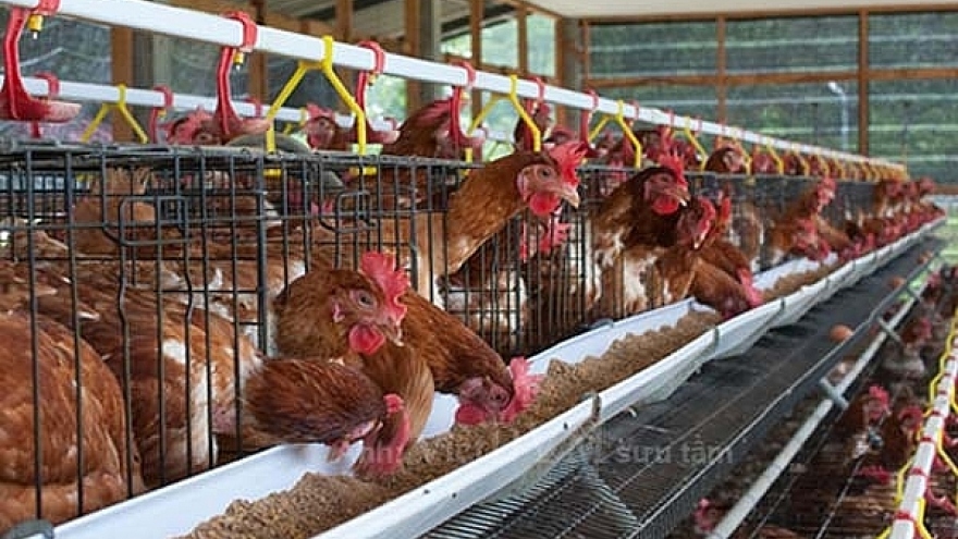 
        CPTPP pressures to force agricultural reforms
                              